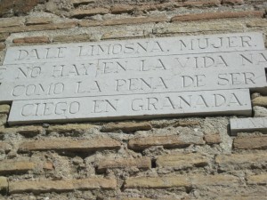 Terrible ser ciego en Granada. Patética la ceguera voluntaria. (La Alhambra).